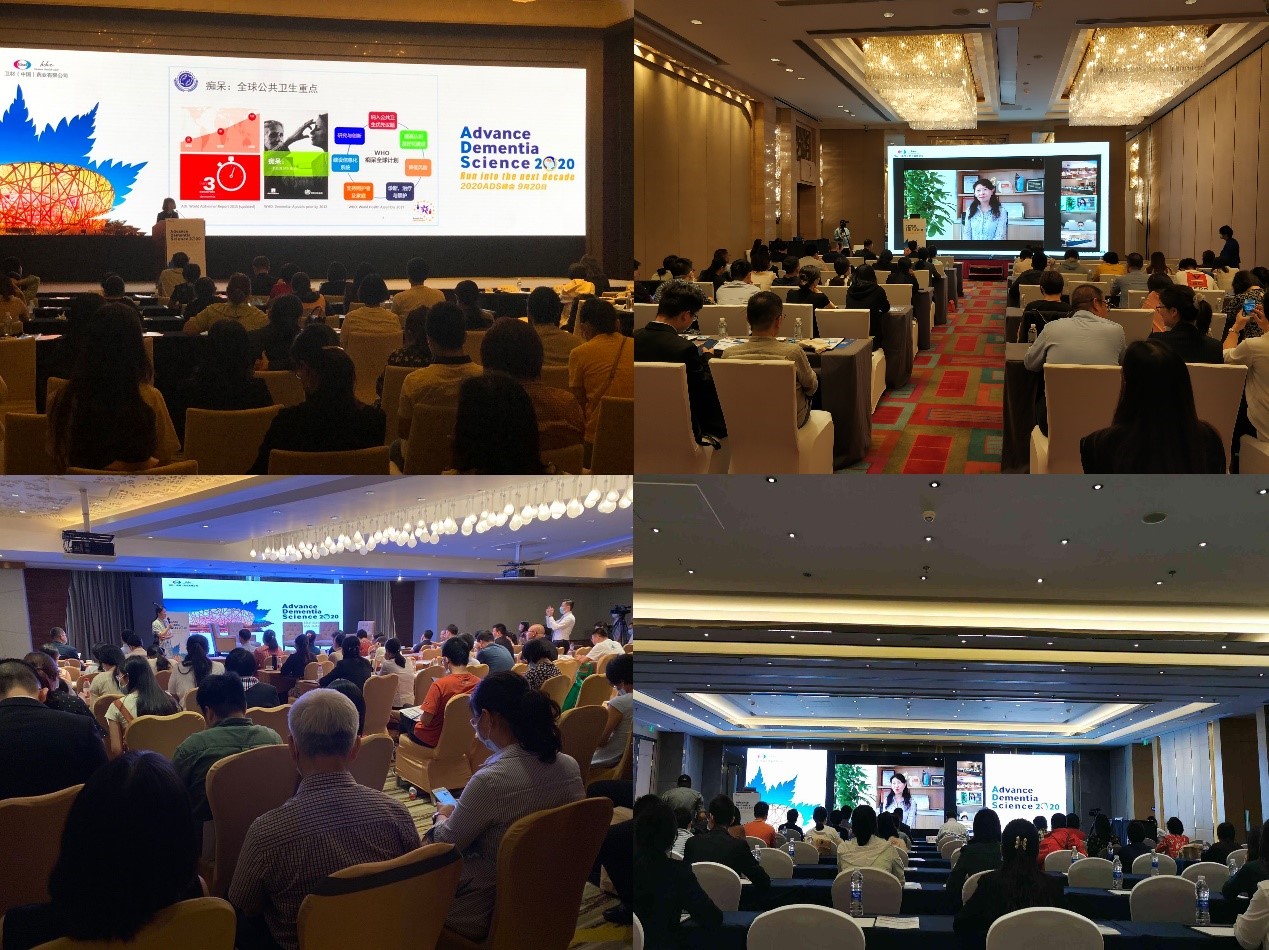 �Ϲ�NG28(�й�)�ٷ���վ-��¼���