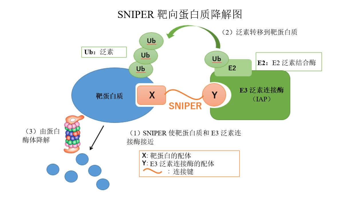 �Ϲ�NG28(�й�)�ٷ���վ-��¼���